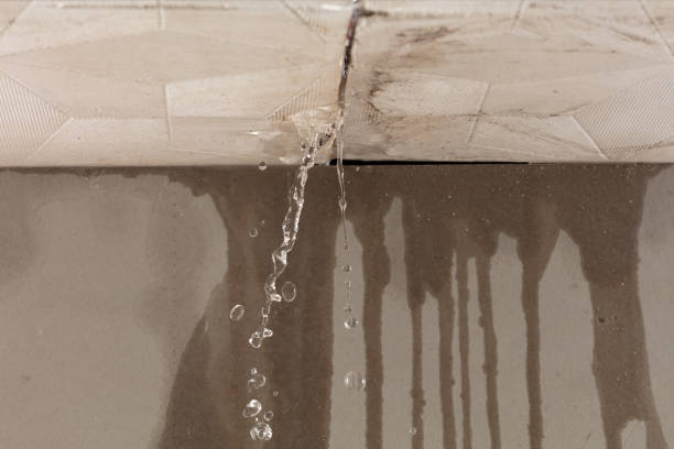 Professional Structural Drying technician working in Brookfield, MO